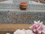 image of grave number 558284